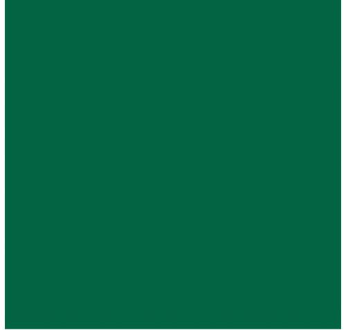 #43005-Lead Free Fuse Master EZ Fire Paint Chrome Green