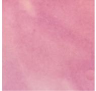 #43041-Lead Free Fuse Master EZ Fire Paint Light Purple