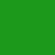 #43104-Lead Free Fuse Master Low Fire Paint Spring Green 