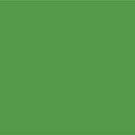 #43105-Lead Free Fuse Master Low Fire Paint Green