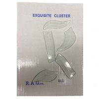 Cliquer pour agrandir