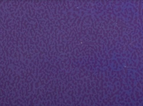 BU033430S - Gold Purple Opal Striker Half Sheet