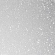 BU110127F-Clear Seedy