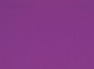 BU123430S - Violet Transparent Striker Half Sheet