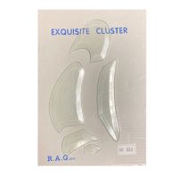 Cliquer pour agrandir