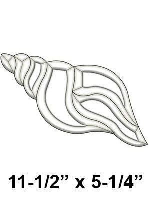 EC302-Exquisite Cluster Conch Shell
