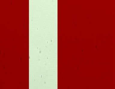 FL512-Lamberts Red On Green Flashed
