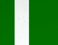 FL534-Lamberts Dark Green On Clear Flashed