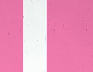 FL538-Lamberts Md Goldpink On Clear Flashed