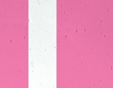 FL538-Lamberts Md Goldpink On Clear Flashed