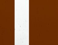 FL555-Lamberts Brown On Clear Flashed