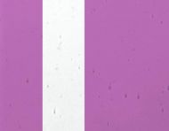 FL556-Lamberts Fuschia On Clear Flashed