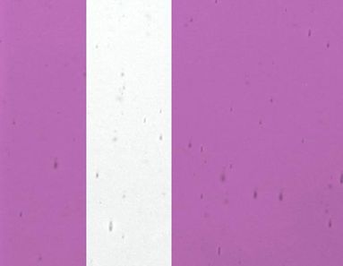 FL556-Lamberts Fuschia On Clear Flashed