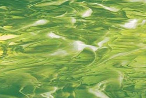 SF82692- 96 Moss Green/White Wispy