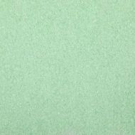 UF2043-Oceanside Frit Fine Pastel Green Opal 8.5oz Jar - 96 COE (#2222)