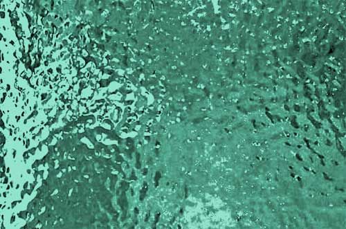 W1261- Pale Mint Green Corella #C322