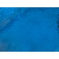 W1265-Dark Turquoise Corella #C342