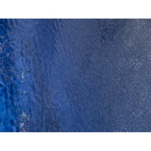 W1277-Cobalt Corella #C1118