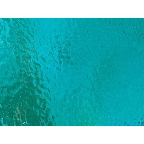 W1279-Light Turquoise Corella #C158
