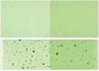 Ayrıntı için tıklayınız