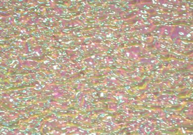 DC815A-CBS Dichroic Pink/ Emerald Green On Clear Ripple 16"x19" - 90 COE