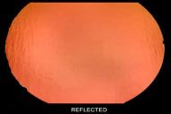 DC861B-CBS Dichroic Thin Salmon On Black 90 COE