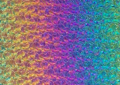 DC949B-CBS Thin Florentine Dichroic Rainbow 1 On Clear 9.5" Pie - 90 COE