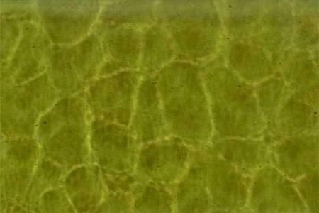 EM1030-Lt. Olive Green English Muffle #4930