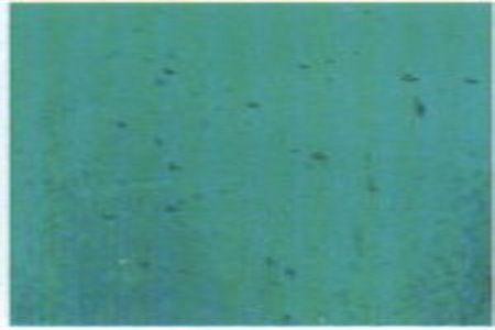 K637 - Medium Turquoise Trans. 