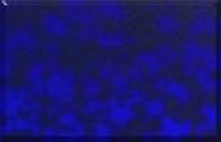 OC302-Cobalt Blue