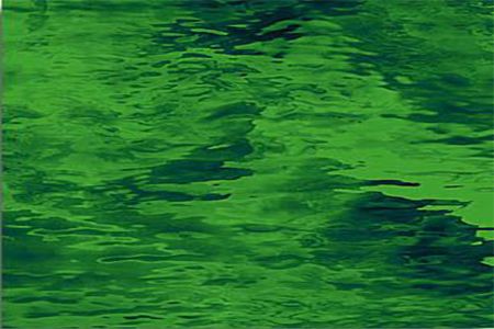 SF123W-96 Medium Green Waterglass Transparent