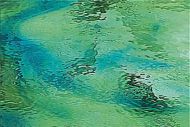 SF4231W 96 Green/Aqua Blue Streaky Waterglass Trans.