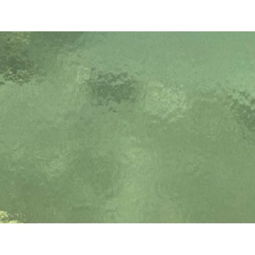 W1030-Pl.Green Trans.#309