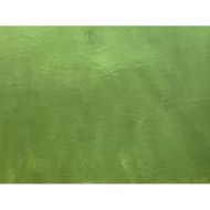 W1037-Desert Green Trans.#287