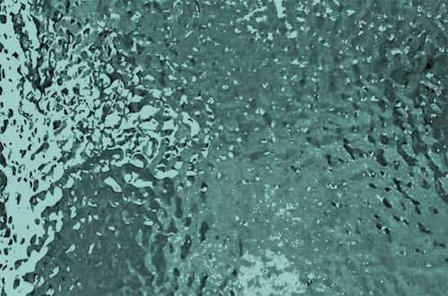 W1282-Seafoam Corella #C65