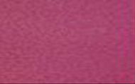 W1052-Md.Rose Trans.#134