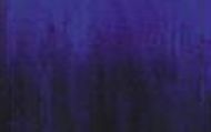 W1064-Purple/Blue #238LL