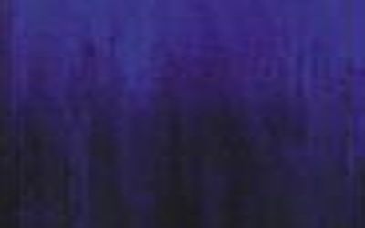 W1064-Purple/Blue #238LL