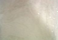 W1101-Streaked White Opal Granite #51DDXXMG
