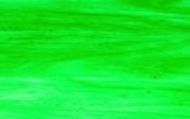 W1212-Dk. Green/Clear #101LL