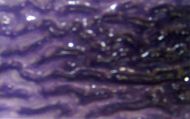 W1305-Iridized Purple Ripple Trans. #311VRIPR
