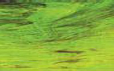 W1504- Md.Green/Brown/White Mystic #0704