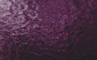 W1534-Dark Purple #241