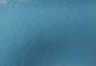 WF1207-96 Steel Blue Trans.  #96-47