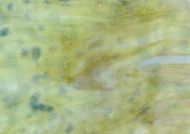 Y1025HS-White Opal/Yellow/ Amber