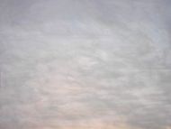 Y1100SP-Ice White/White Wispy Opal