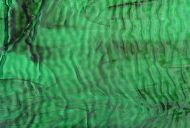 Y4402RRG-Green/Chocolate Brown - Ripple