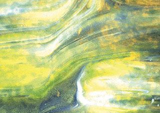 YLANDRG-Amber Tones/Greens-Landscape