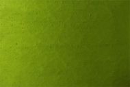 Y4500SP-Lime Green Ice